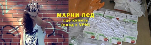 крисы Баксан